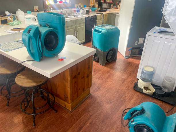 Best Water damage contractors near me  in George, IA