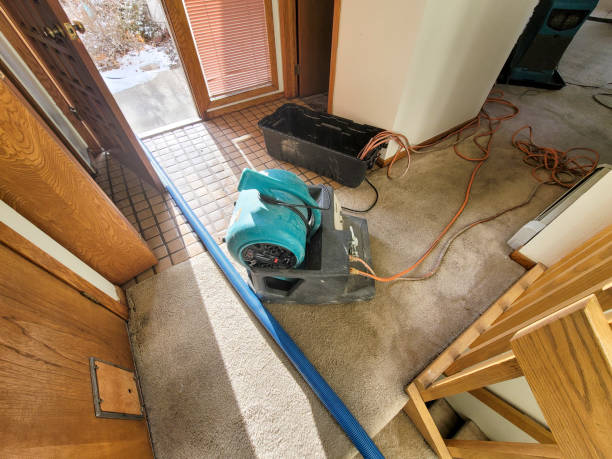 Best Residential water damage restoration  in George, IA