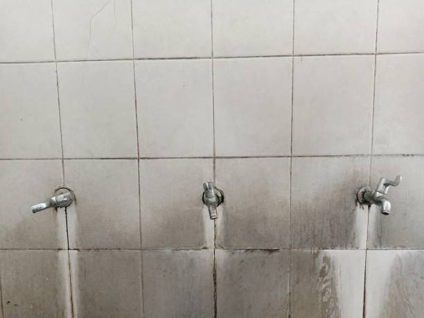 Best Basement water damage restoration  in George, IA