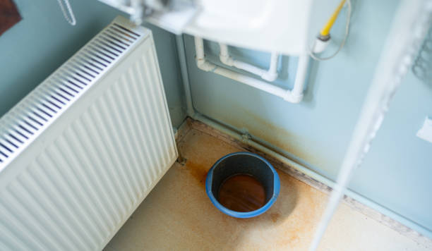 Best Local water damage restoration  in George, IA