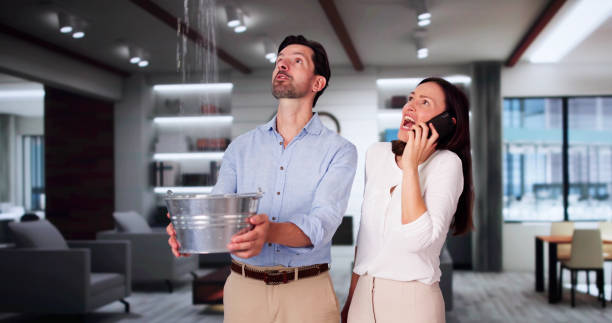 Best Ceiling water damage repair  in George, IA