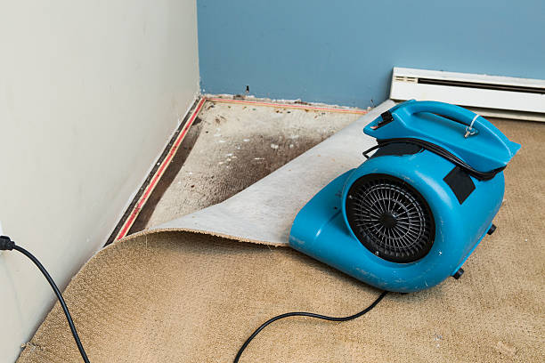 Carpet water damage restoration in IA